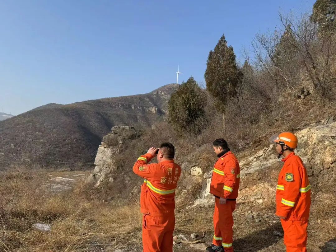 图片 图片