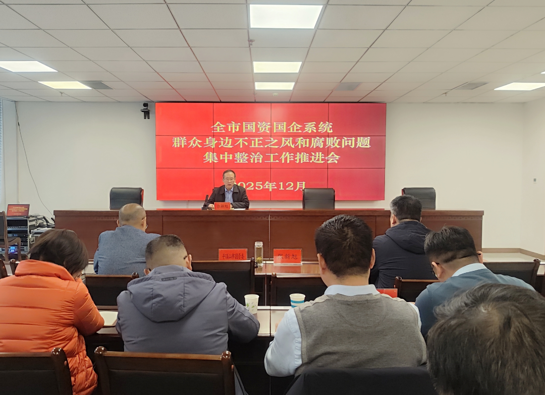 平顶山市国资委召开国资国企系统集中整治工作推进会 平顶山市国资委召开国资国企系统集中整治工作推进会