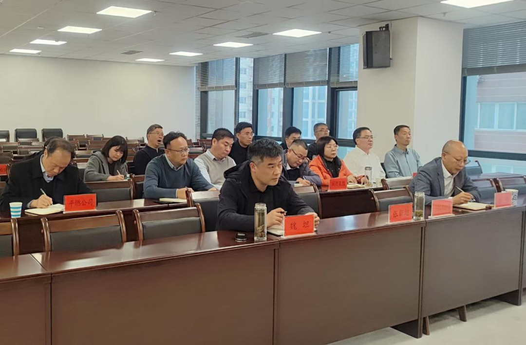 平顶山市国资委召开国资国企系统集中整治工作推进会 平顶山市国资委召开国资国企系统集中整治工作推进会