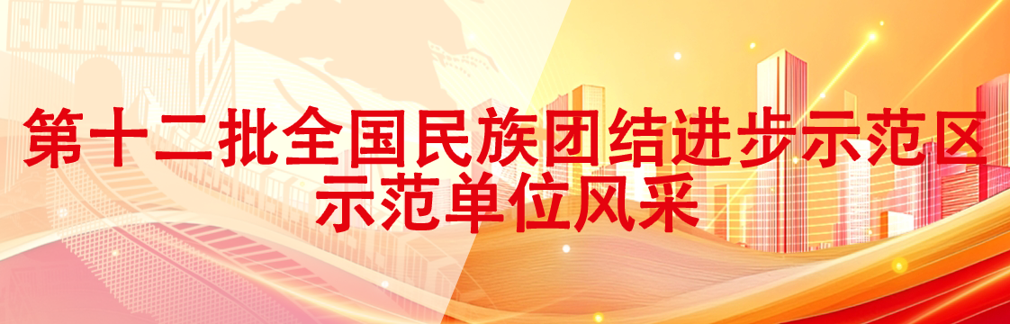 第十二批全国民族团结进步示范区示范单位